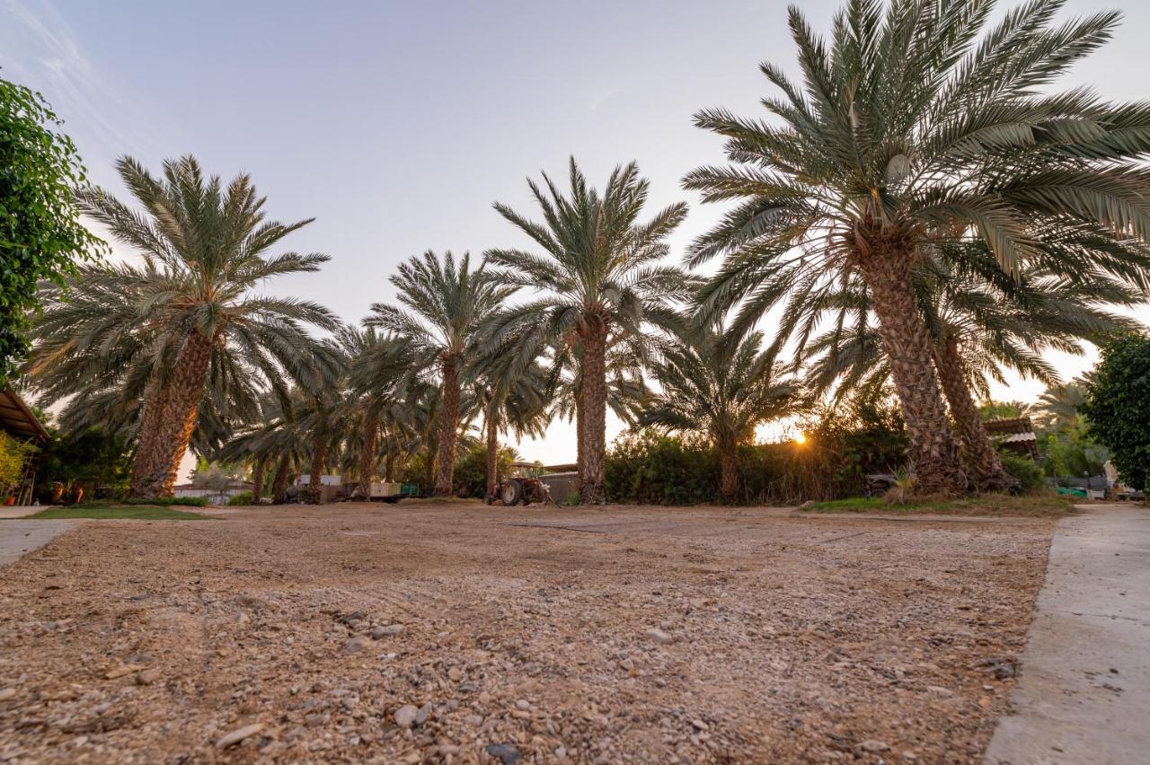 רגע ערבה Lodge ‘En Yahav