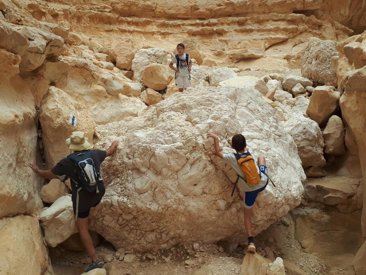 Lodge רגע ערבה
